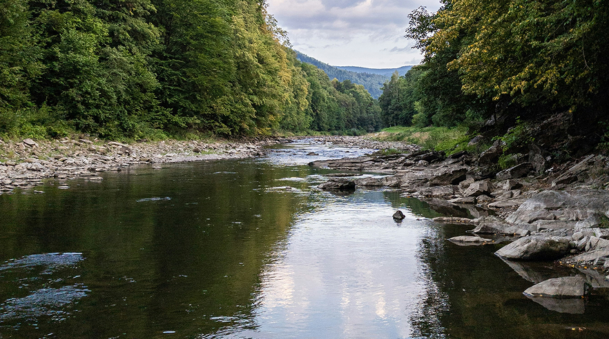 «Серце Карпат»